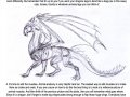 Dragon_Tutorial_by_alecan.jpg